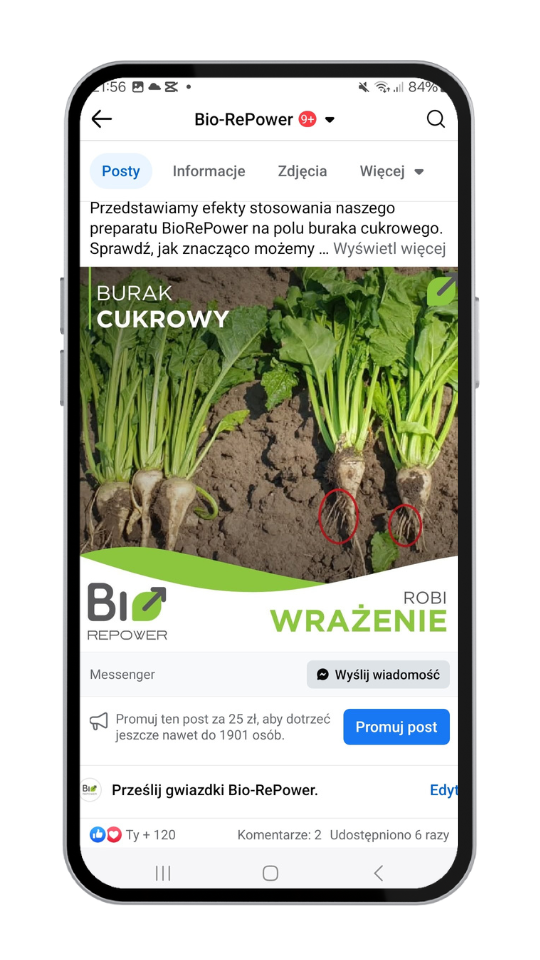 BIOREPOWER