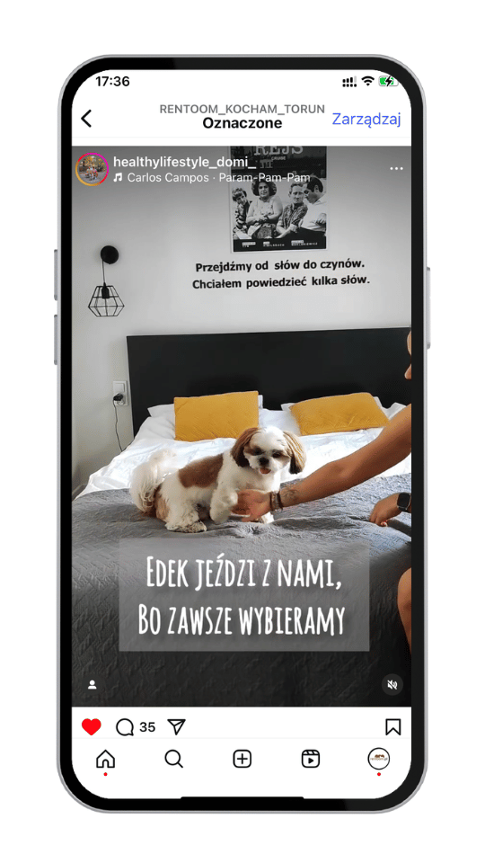 INFLUENCER MARKETING